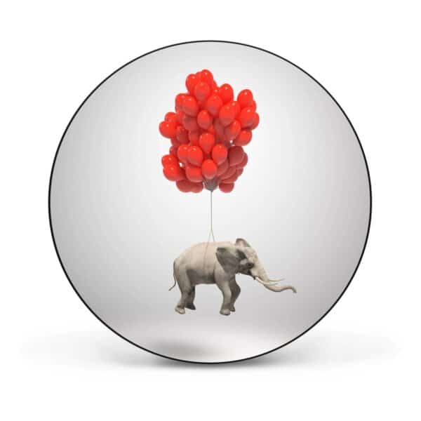 Banjado Magnettafel Rund Größe 47cm Magnetwand Schwarz Aus Metall Magnetpinnwand Pinnwand Motiv Fliegender Elefant