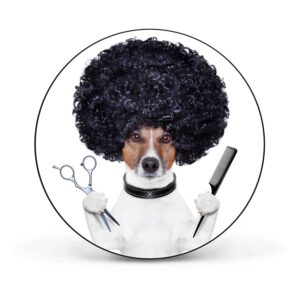 Banjado Magnettafel Rund Größe 47cm Magnetwand Schwarz Aus Metall Magnetpinnwand Pinnwand Motiv Friseur Jack Russel