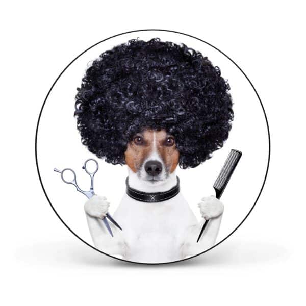 Banjado Magnettafel Rund Größe 47cm Magnetwand Schwarz Aus Metall Magnetpinnwand Pinnwand Motiv Friseur Jack Russel