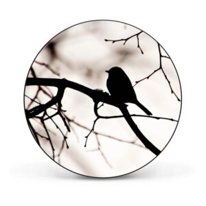 Banjado Magnettafel Rund Größe 47cm Magnetwand Schwarz Aus Metall Magnetpinnwand Pinnwand Motiv Früher Vogel