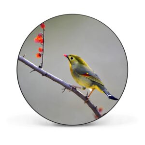 Banjado Magnettafel Rund Größe 47cm Magnetwand Schwarz Aus Metall Magnetpinnwand Pinnwand Motiv Herbst Vogel