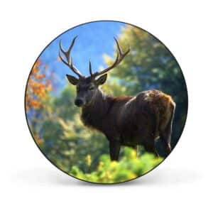 Banjado Magnettafel Rund Größe 47cm Magnetwand Schwarz Aus Metall Magnetpinnwand Pinnwand Motiv Hirsch