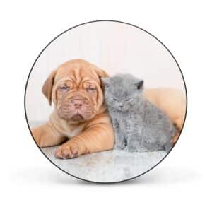Banjado Magnettafel Rund Größe 47cm Magnetwand Schwarz Aus Metall Magnetpinnwand Pinnwand Motiv Hund Und Katze