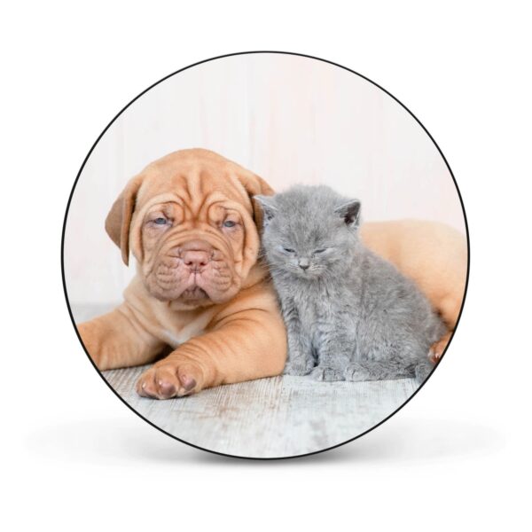 Banjado Magnettafel Rund Größe 47cm Magnetwand Schwarz Aus Metall Magnetpinnwand Pinnwand Motiv Hund Und Katze