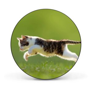 Banjado Magnettafel Rund Größe 47cm Magnetwand Schwarz Aus Metall Magnetpinnwand Pinnwand Motiv Jagende Katze