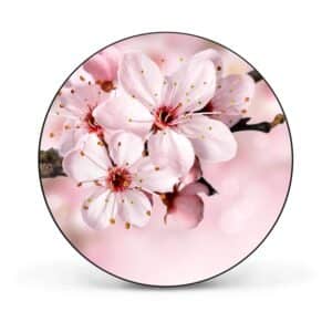 Banjado Magnettafel Rund Größe 47cm Magnetwand Schwarz Aus Metall Magnetpinnwand Pinnwand Motiv Japanische Kirsche