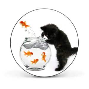 Banjado Magnettafel Rund Größe 47cm Magnetwand Schwarz Aus Metall Magnetpinnwand Pinnwand Motiv Katze Und Fisch