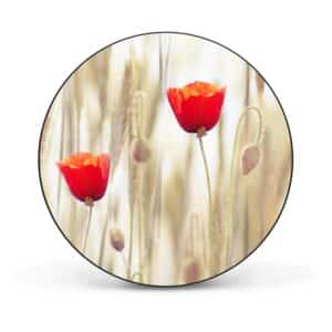 Banjado Magnettafel Rund Größe 47cm Magnetwand Schwarz Aus Metall Magnetpinnwand Pinnwand Motiv Klatschmohn