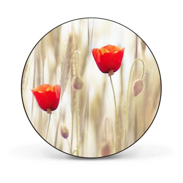 Banjado Magnettafel Rund Größe 47cm Magnetwand Schwarz Aus Metall Magnetpinnwand Pinnwand Motiv Klatschmohn