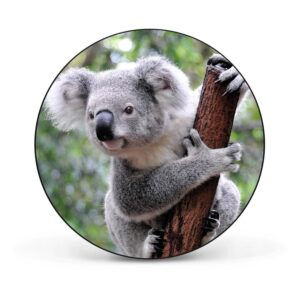 Banjado Magnettafel Rund Größe 47cm Magnetwand Schwarz Aus Metall Magnetpinnwand Pinnwand Motiv Koala