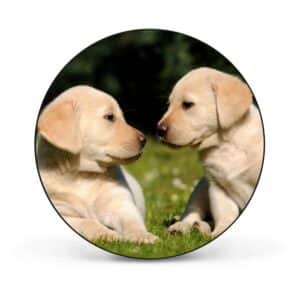 Banjado Magnettafel Rund Größe 47cm Magnetwand Schwarz Aus Metall Magnetpinnwand Pinnwand Motiv Labrador