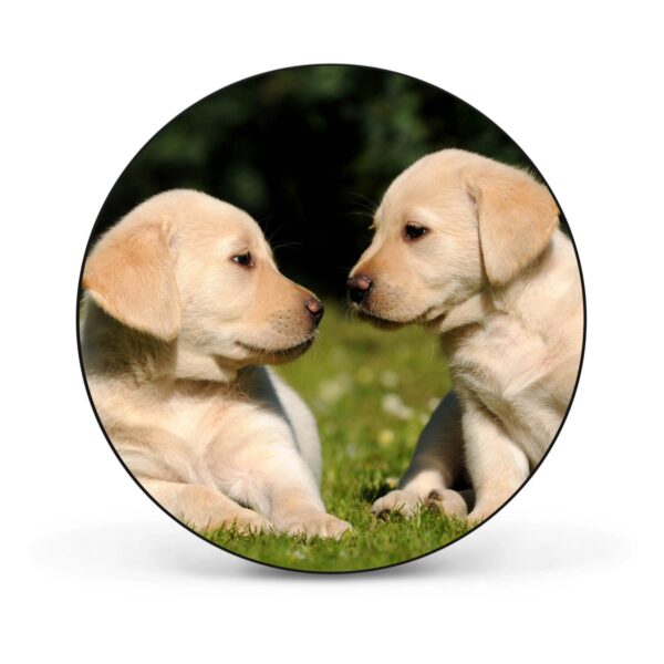 Banjado Magnettafel Rund Größe 47cm Magnetwand Schwarz Aus Metall Magnetpinnwand Pinnwand Motiv Labrador