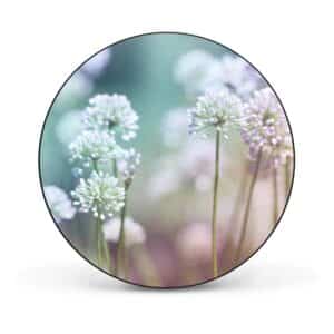 Banjado Magnettafel Rund Größe 47cm Magnetwand Schwarz Aus Metall Magnetpinnwand Pinnwand Motiv Lauchblüte