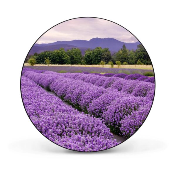 Banjado Magnettafel Rund Größe 47cm Magnetwand Schwarz Aus Metall Magnetpinnwand Pinnwand Motiv Lavendel 1