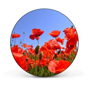 Banjado Magnettafel Rund Größe 47cm Magnetwand Schwarz Aus Metall Magnetpinnwand Pinnwand Motiv Mohnblumen