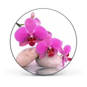 Banjado Magnettafel Rund Größe 47cm Magnetwand Schwarz Aus Metall Magnetpinnwand Pinnwand Motiv Orchidee