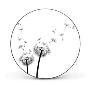 Banjado Magnettafel Rund Größe 47cm Magnetwand Schwarz Aus Metall Magnetpinnwand Pinnwand Motiv Pusteblume 2