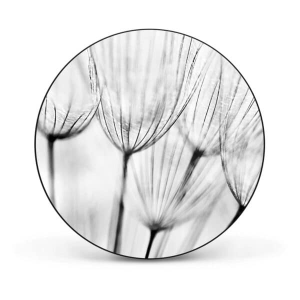 Banjado Magnettafel Rund Größe 47cm Magnetwand Schwarz Aus Metall Magnetpinnwand Pinnwand Motiv Pusteblumen Sw