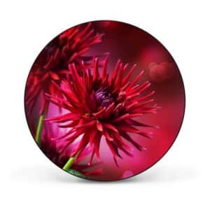 Banjado Magnettafel Rund Größe 47cm Magnetwand Schwarz Aus Metall Magnetpinnwand Pinnwand Motiv Rote Dahlien