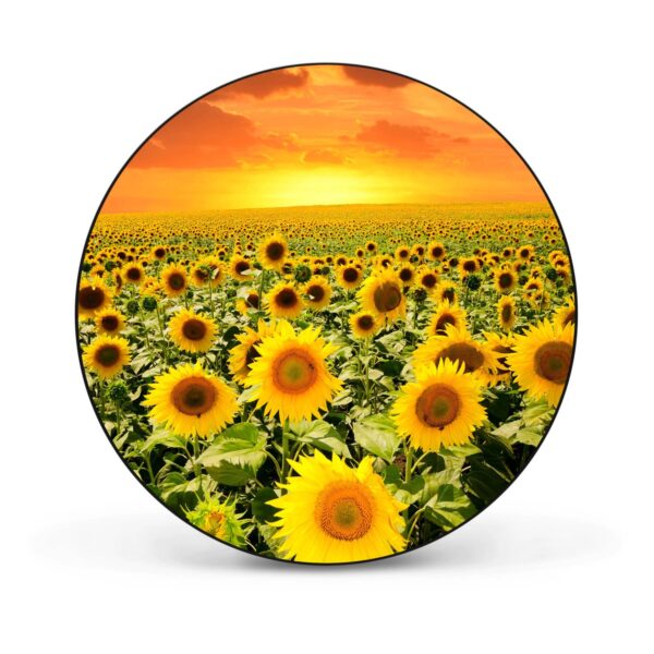 Banjado Magnettafel Rund Größe 47cm Magnetwand Schwarz Aus Metall Magnetpinnwand Pinnwand Motiv Sonnenblumenmeer