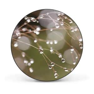 Banjado Magnettafel Rund Größe 47cm Magnetwand Schwarz Aus Metall Magnetpinnwand Pinnwand Motiv Tau Auf Zweigen