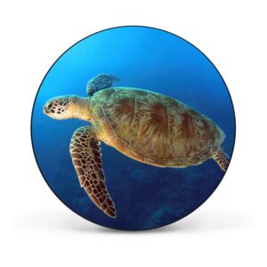 Banjado Magnettafel Rund Größe 47cm Magnetwand Schwarz Aus Metall Magnetpinnwand Pinnwand Motiv Wasserschildkröte