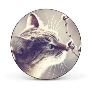 Banjado Magnettafel Rund Größe 47cm Magnetwand Schwarz Aus Metall Magnetpinnwand Pinnwand Motiv Weidenkätzchen