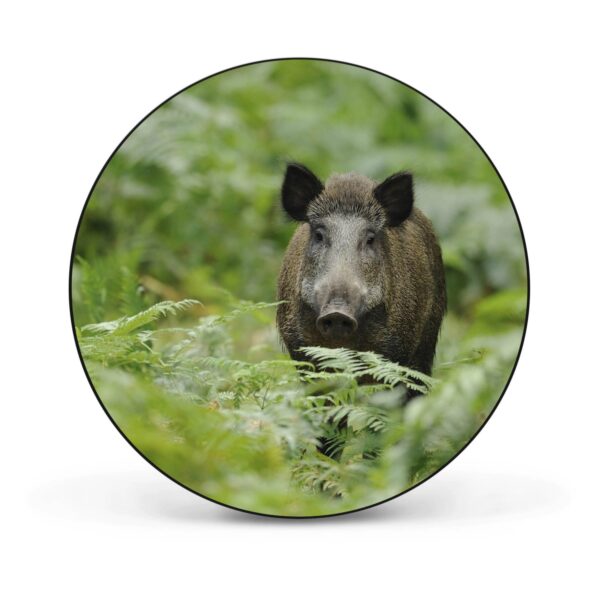 Banjado Magnettafel Rund Größe 47cm Magnetwand Schwarz Aus Metall Magnetpinnwand Pinnwand Motiv Wildschwein