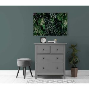 Bricoflor Bild Auf Leinwand Blätter Motiv Dunkelgrün Dschungel Wandbild 90 X 60 Cm Für Wohnzimmer Und Küche Leinwandbild Tropisch
