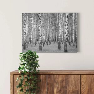 Bricoflor Birkenwald Bild Auf Leinwand In Schwarz Weiß Wandbild Mit Wald Motiv Ideal Für Schlafzimmer Und Flur Glattes Leinwandbild Auf Keilrahmen