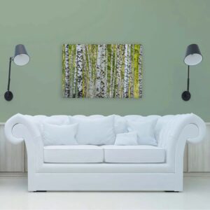 Bricoflor Birkenwald Leinwand Bild Grün Weiß Wandbild Mit Wald Motiv Für Wohnzimmer Und Schlafzimmer Birken Leinwandbild 90X60 Cm