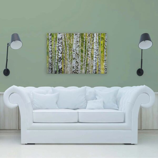Bricoflor Birkenwald Leinwand Bild Grün Weiß Wandbild Mit Wald Motiv Für Wohnzimmer Und Schlafzimmer Birken Leinwandbild 90X60 Cm