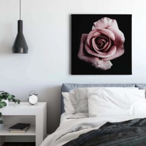 Bricoflor Blumen Bild In Altrosa Und Schwarz Rose Auf Hintergrund In Schwarz Ideal Für Schlaf Und Wohnzimmer Romantisches Leinwandbild Quadratisch