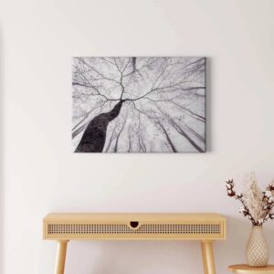 Bricoflor Keilrahmen Bild Mit Wald In Schwarz Weiß Leinwand Bild Mit Baumkrone Für Schlafzimmer Und Badezimmer Leinwandbild Mit Winter Motiv