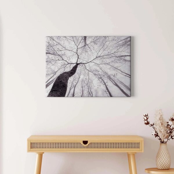 Bricoflor Keilrahmen Bild Mit Wald In Schwarz Weiß Leinwand Bild Mit Baumkrone Für Schlafzimmer Und Badezimmer Leinwandbild Mit Winter Motiv