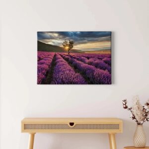 Bricoflor Lavendel Bild Auf Leinwand In Lila Sonnenuntergang Wandbild Mit Provence Motiv Lavendelfeld Leinwandbild Ideal Für Schlaf Und Wohnzimmer