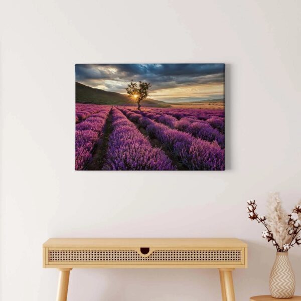 Bricoflor Lavendel Bild Auf Leinwand In Lila Sonnenuntergang Wandbild Mit Provence Motiv Lavendelfeld Leinwandbild Ideal Für Schlaf Und Wohnzimmer