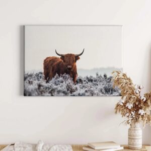 Bricoflor Leinwand Bild Mit Ochse In Feld Tier Wandbild Ideal Für Wohnzimmer Und Schlafzimmer Im Landhausstil Keilrahmenbild In Weiß Und Braun