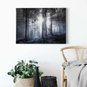Bricoflor Leinwand Bild Mit Wald In Schwarz Weiß Wandbild Mit Tannenwald In Nebel Schlafzimmer Leinwandbild Mit Wald Und Sonnenstrahlen