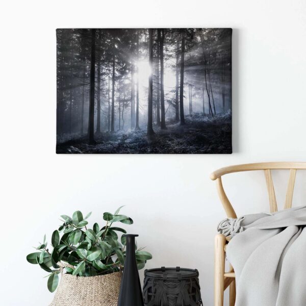 Bricoflor Leinwand Bild Mit Wald In Schwarz Weiß Wandbild Mit Tannenwald In Nebel Schlafzimmer Leinwandbild Mit Wald Und Sonnenstrahlen