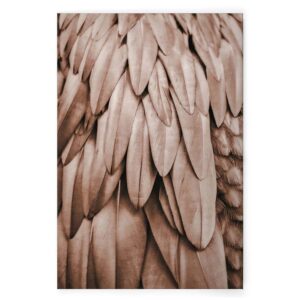 Bricoflor Leinwandbild Mit Federn Beige Deko Wandbild Mit Vogel Motiv Ideal Für Schlafzimmer Und Badezimmer Bild In 60 X 90 Cm