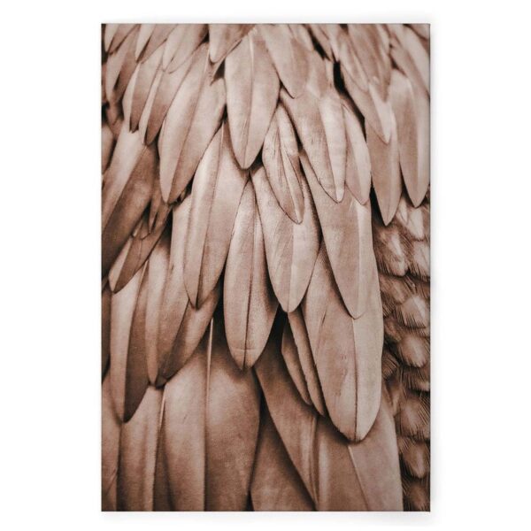 Bricoflor Leinwandbild Mit Federn Beige Deko Wandbild Mit Vogel Motiv Ideal Für Schlafzimmer Und Badezimmer Bild In 60 X 90 Cm
