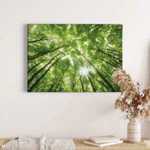 Bricoflor Leinwandbild Mit Wald Motiv Wandbild Mit Bäumen Ideal Für Schlafzimmer Und Büro Grünes Leinwand Bild Mit Wald Und Sonnenstrahlen