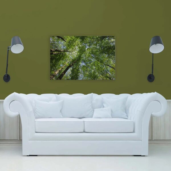 Bricoflor Leinwandbild Wald 120X80 Cm Natur Wandbild Grün Für Wohnzimmer Und Schlafzimmer Deko Leinwand Mit Baumkronen