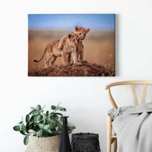 Bricoflor Löwen Bild Auf Leinwand Keilrahmen Bild Mit Baby Löwen Ideal Für Kinderzimmer Und Wohnzimmer Tier Wandbild Im Querformat