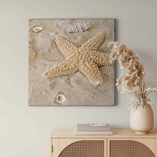 Bricoflor Maritimes Bild Mit Seestern Leinwand Bild Mit Strand Und Muscheln Ideal Für Schlafzimmer Und Badezimmer Meer Wandbild In Beige Und Crème