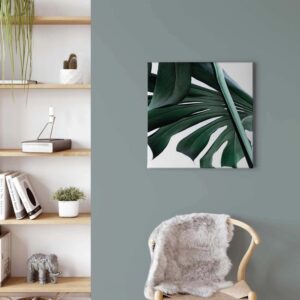 Bricoflor Monstera Blatt Bild Modernes Wandbild Mit Palmenblättern Im Grafik Design Büro Und Wohnzimmer Leinwandbild In Weiß Und Grün