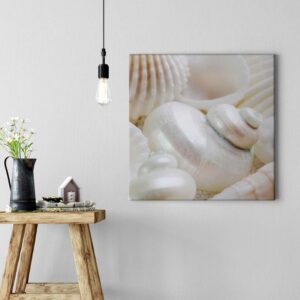 Bricoflor Muschelbild Auf Leinwand Wandbild Mit Muscheln In Crème Weiß Für Badezimmer Und Schlafzimmer Maritimes Leinwandbild Quadratisch