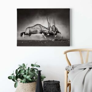 Bricoflor Schwarz Weiß Tierbild Oryx Antilope Bild Ideal Für Wohnzimmer Und Büro Modernes Leinwandbild Mit Tierfotografie Auf Keilrahmen