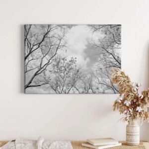 Bricoflor Schwarz Weiß Wald Bild Auf Leinwand Baumkrone Bild Mit Himmel Für Schlafzimmer Und Flur Wandbild Mit Bäumen Auf Keilrahmen